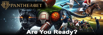 Pantherbet - Your Online Bookmaker
